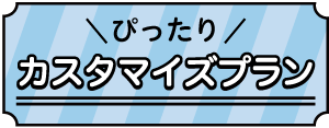 ぴったりカスタマイズプラン